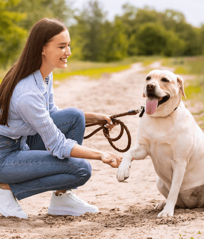 6 Tips to Keep Your Pet Healthy and Happy